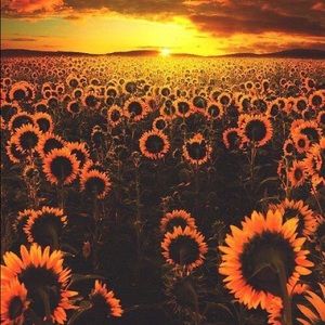 Meet your Posher, Codi